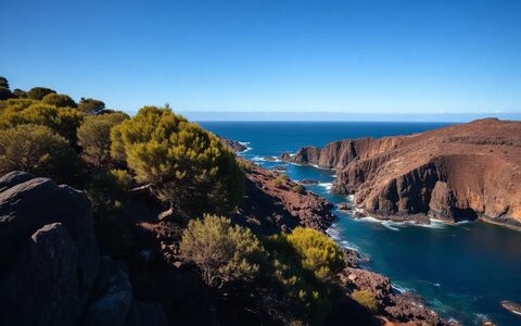 Ruhige Küste auf El Hierro