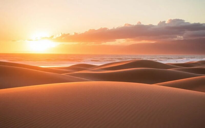 Goldene Dünen von Maspalomas auf Gran Canaria mit Atlantikküste und Palmen