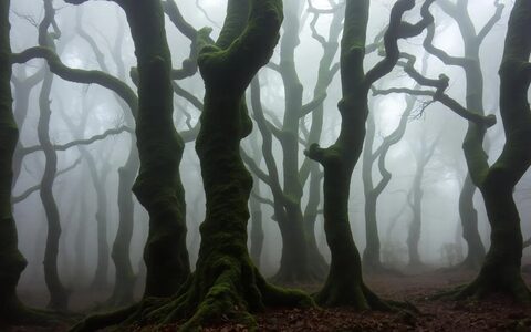 Grüne Berglandschaft auf La Gomera